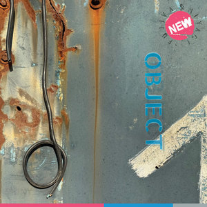 New Shiny Object cover