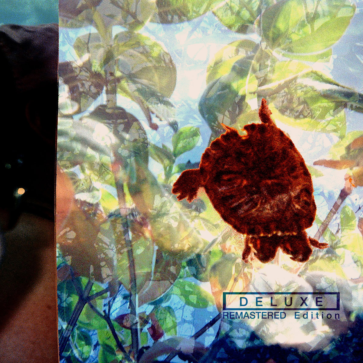 Eye Knip Remastered Treemotel Eye Knip Remastered Treemotel