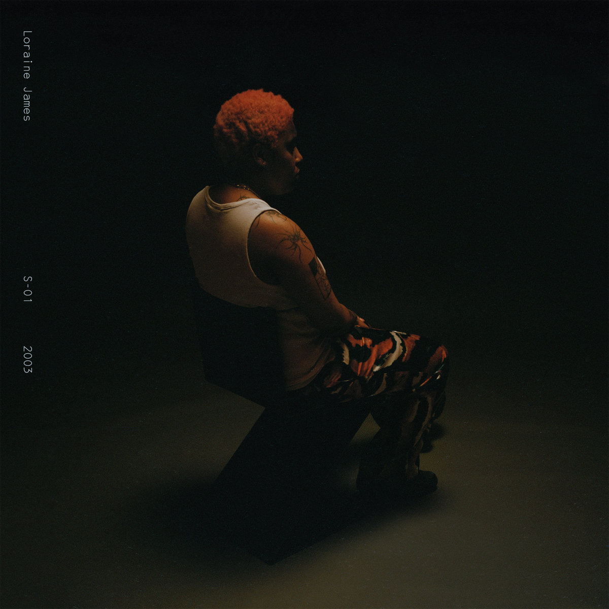 英2LP Loraine James Gentle Confrontation HDBLP064LE Hyperdub /00520 2Lp Loraine James Gentle Confrontation Hdblp064Le Hyperdub