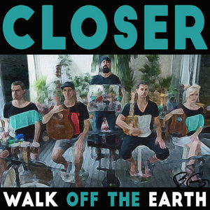 Closer cover