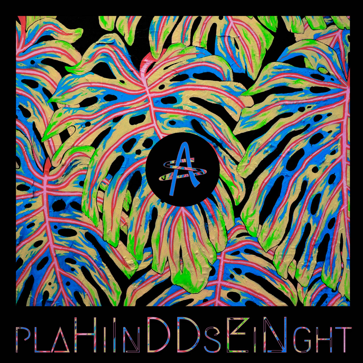 Hidden In Plain Sight album cover