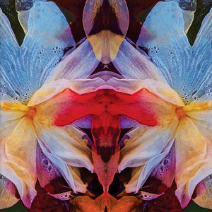 Cosmic WorldsLiquid Sound Company + Herd Of Instinct cover