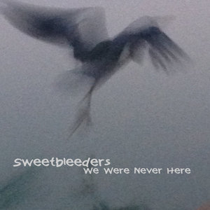 We Were Never Here cover