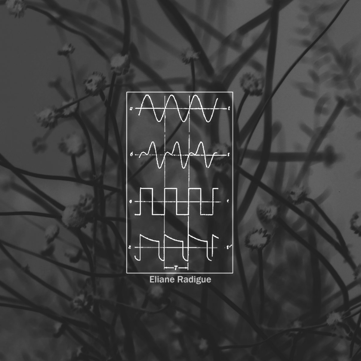 A tribute to Eliane Radigue | sonnov + Dark Echo Forest | sonnov
