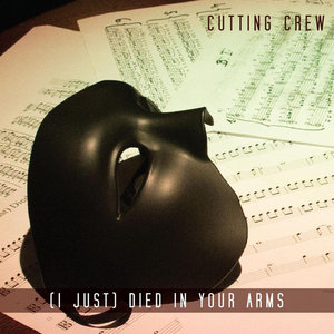 (I Just) Died In Your Arms cover