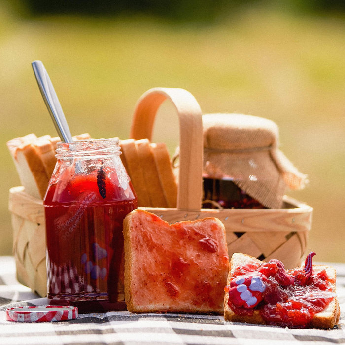 AnimalJam (Redux) | AnimalJam