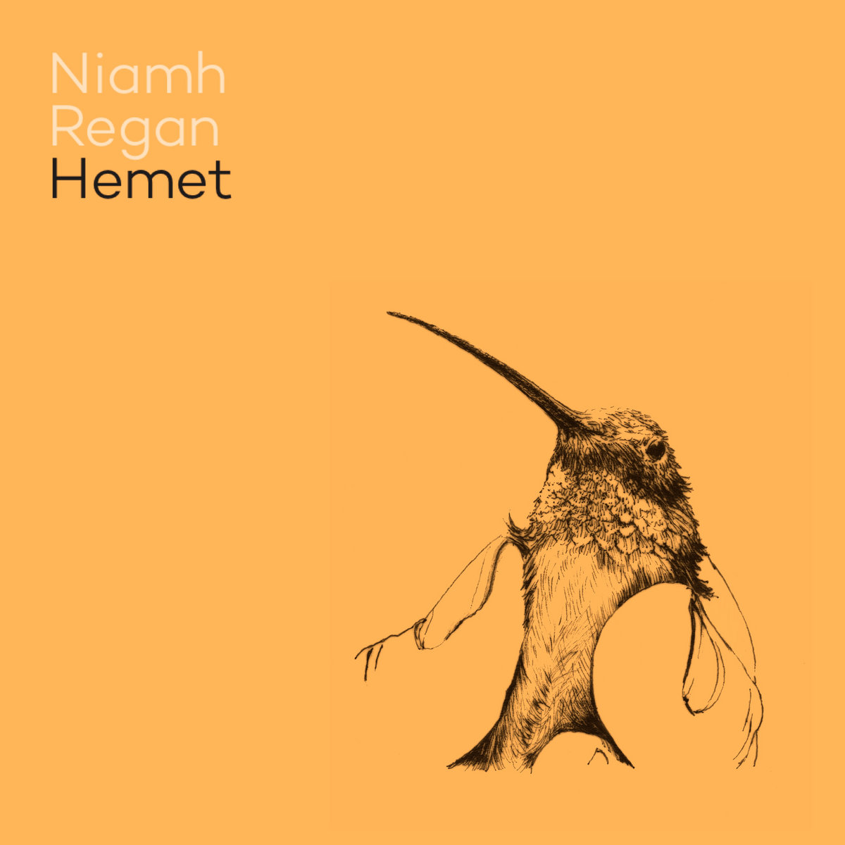 Hemet cover