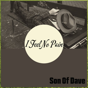 I Feel No Pain cover
