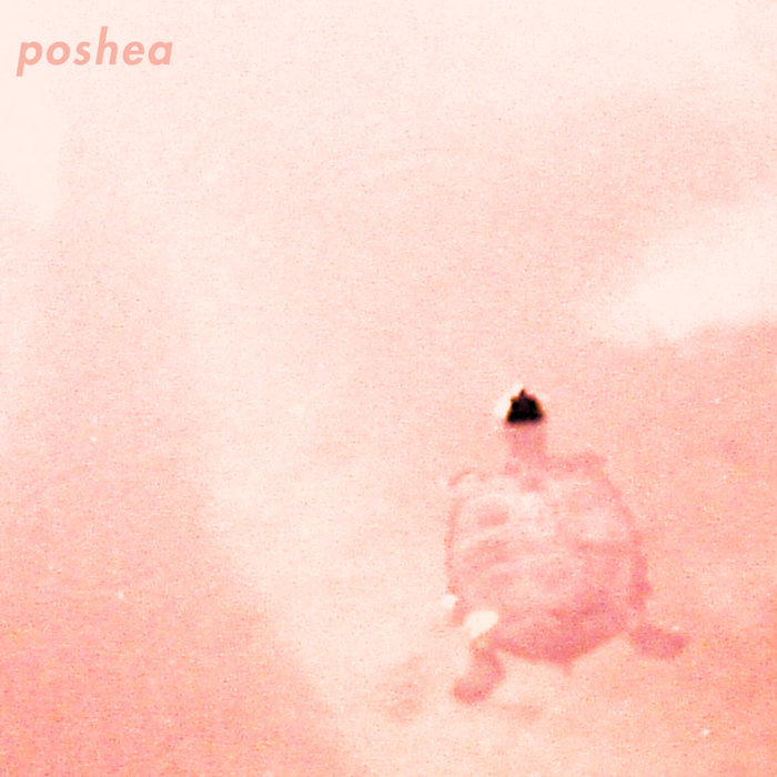 teref | poshea