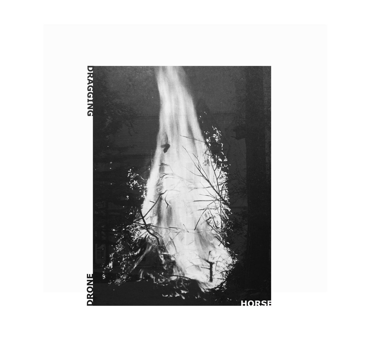 Horse/Bisect Split cover