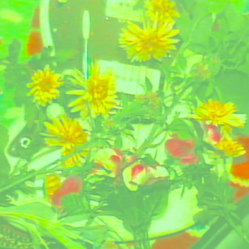 Dreaming In Stereo cover art