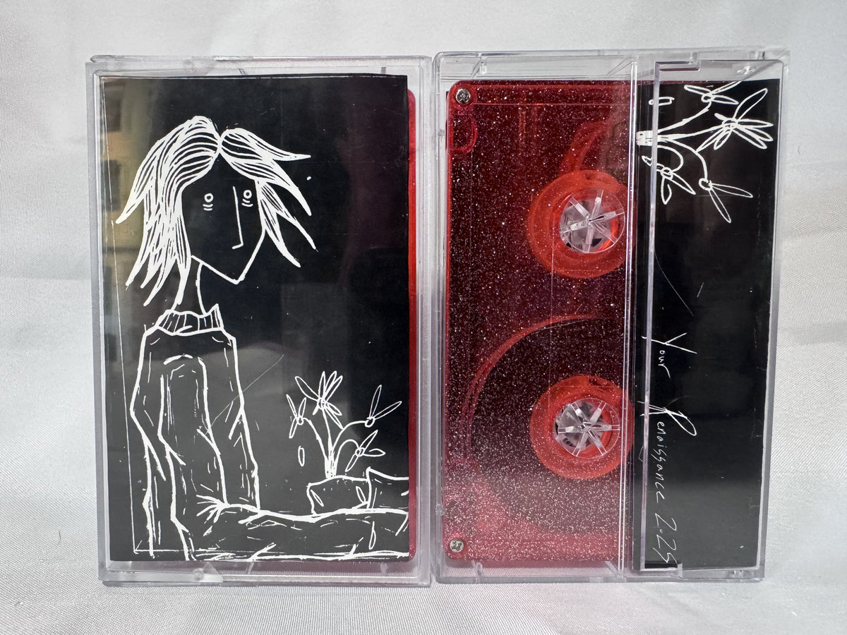 Flowers Taped To Pens Discography | Skramz Demon Audio