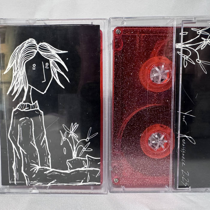 Flowers Taped To Pens Discography | Skramz Demon Audio