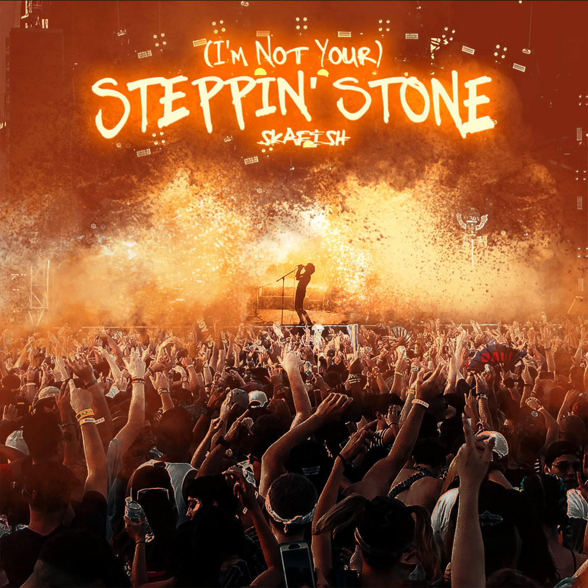 (I'm Not Your) Steppin' Stone