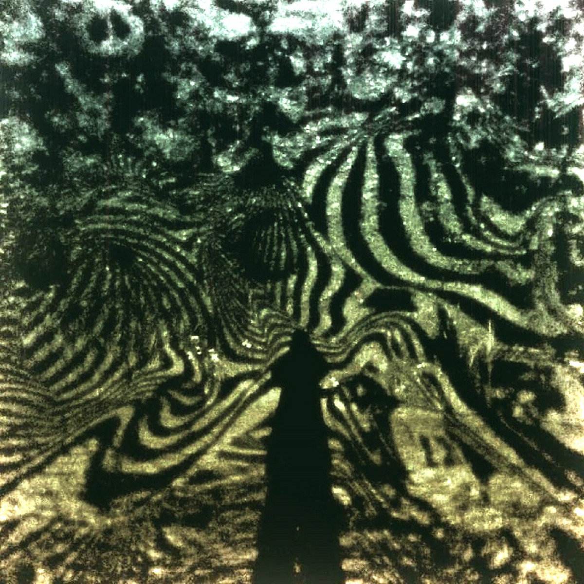 Forest Dweller cover