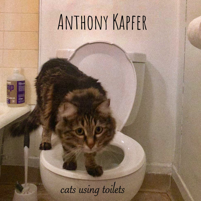 Cats Using Toilets Anthony Kapfer