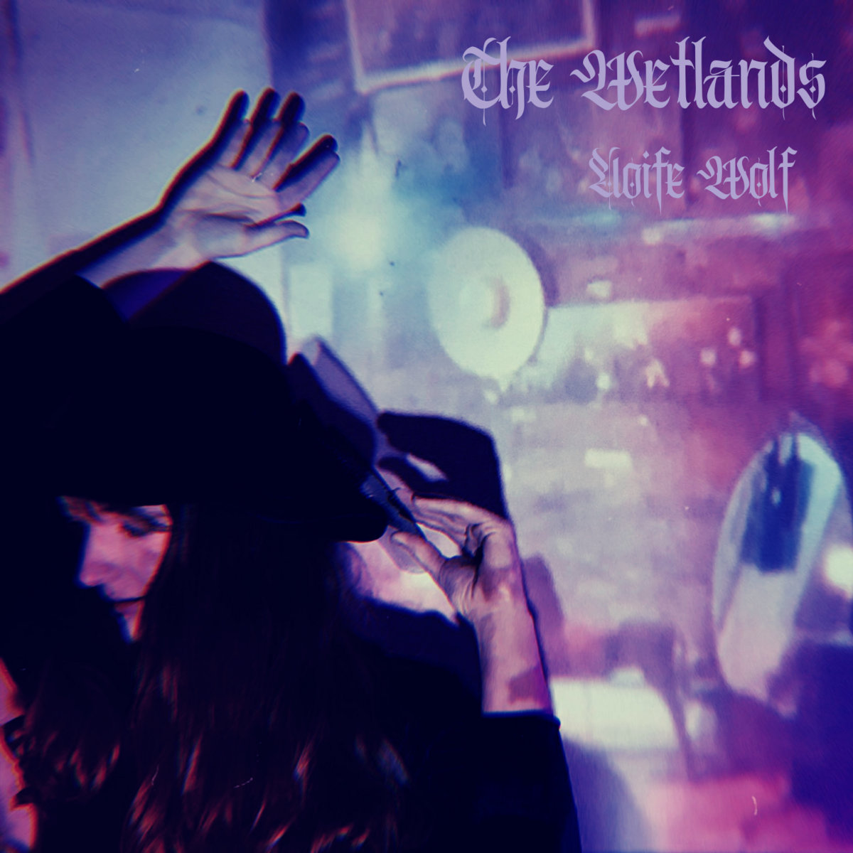 The Wetlands cover