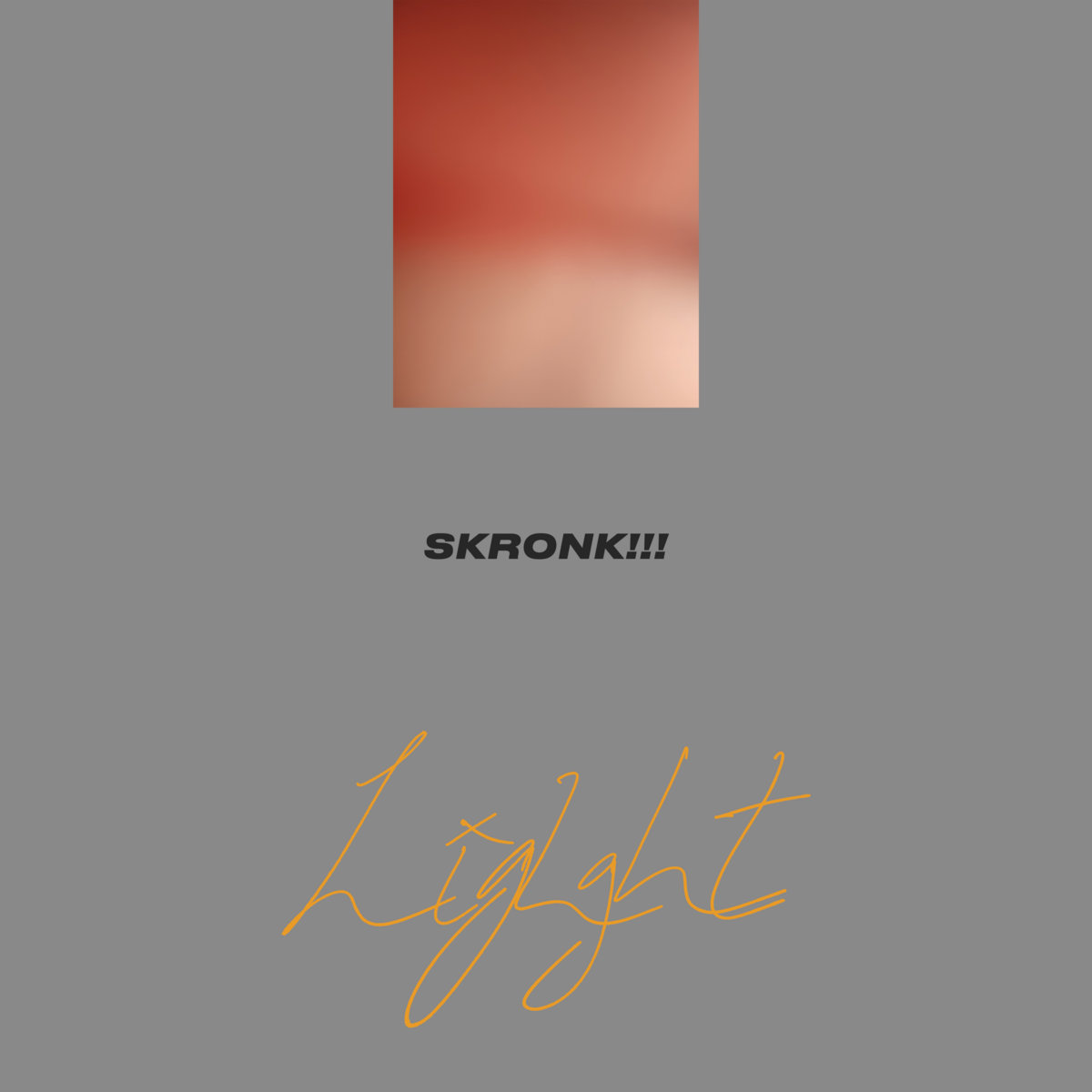 Skronk!!! cover