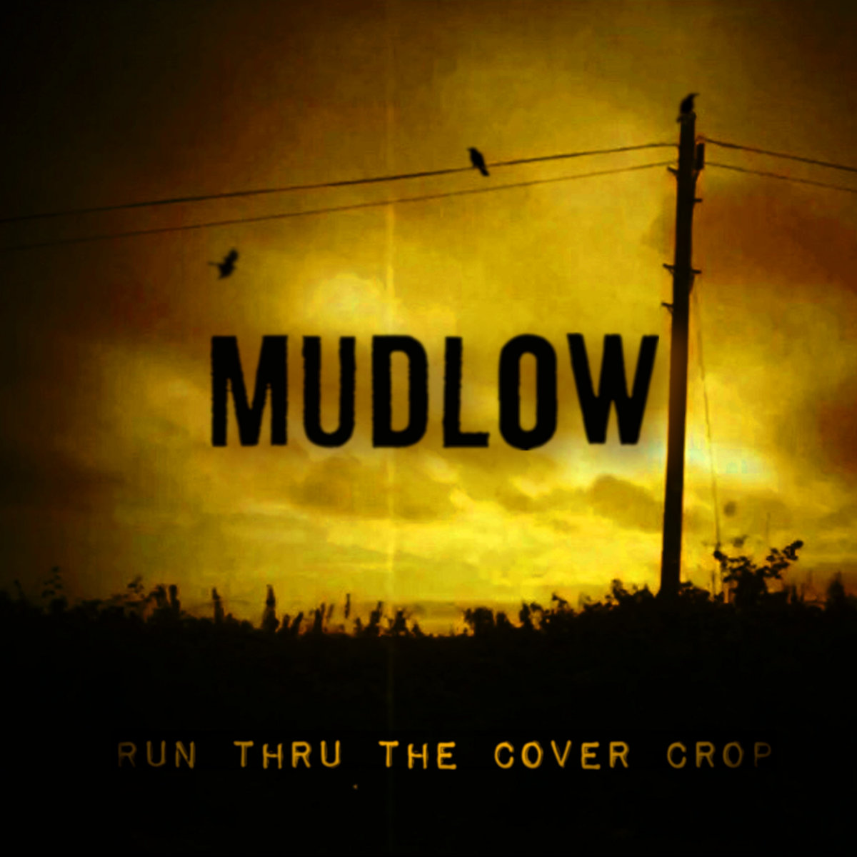 Run Thru the Cover Crop | Mudlow