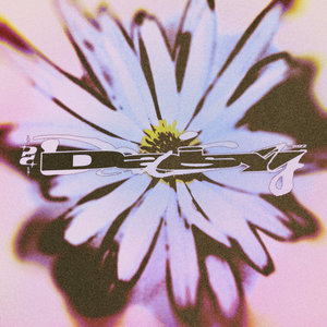 Daisy cover