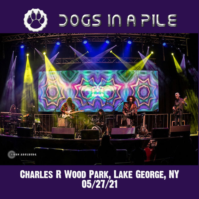 05/27/21 - Charles R. Wood Park, Lake George, NY | Dogs In A Pile