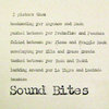 Sound Bites (album)