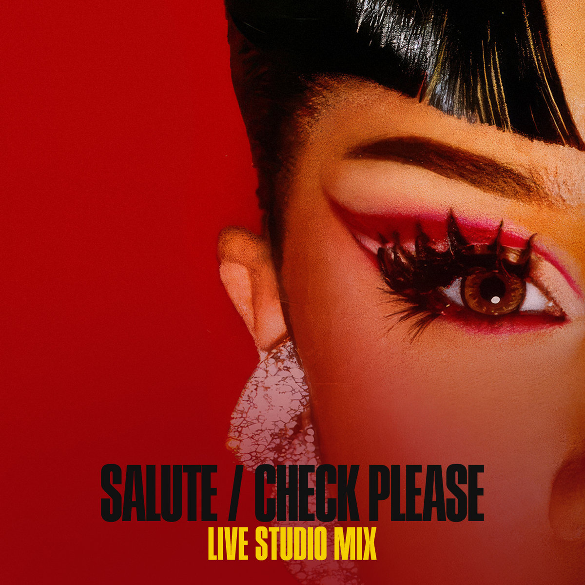 Salute / Check Please (Live Tour Studio Mixes) | Cardi B, FM Music | FM ...