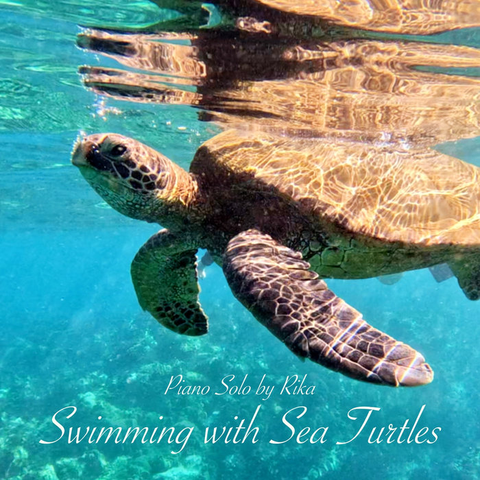 Swimming with Sea Turtles cover art