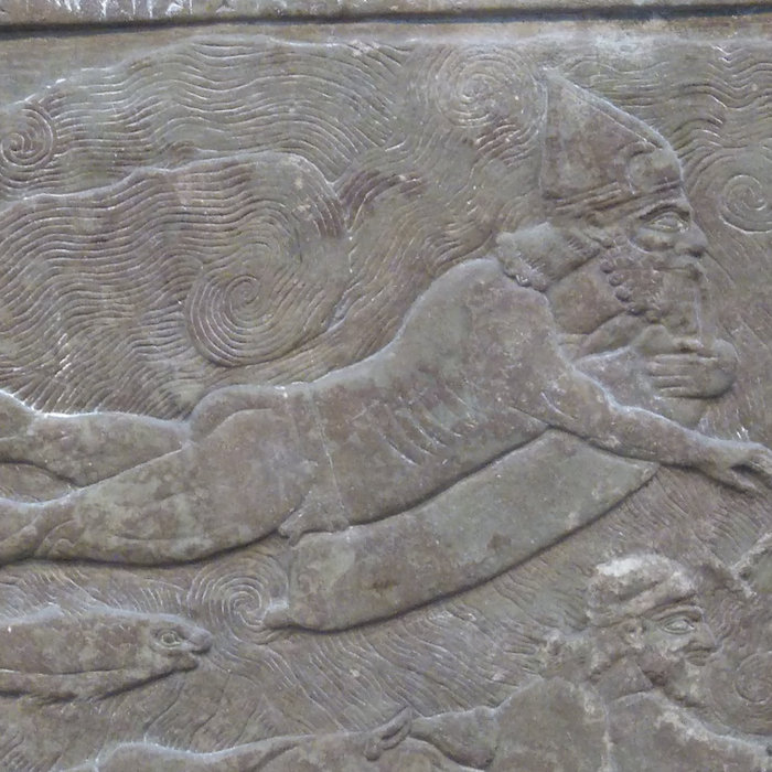 Ashurbanipal Yellow Hammer