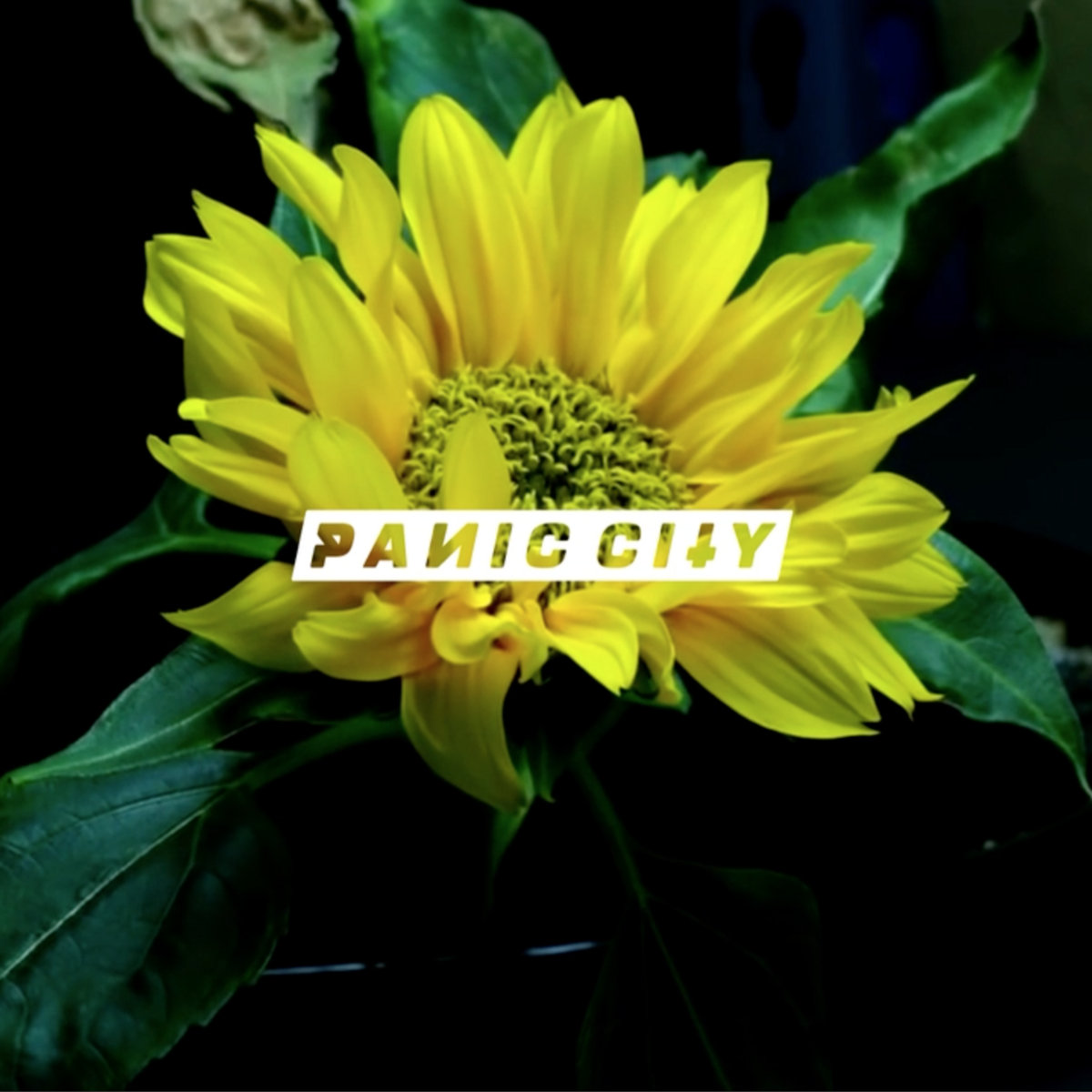 Post Malone & Swae Lee - Sunflower (Panic City Remix) | Panic City