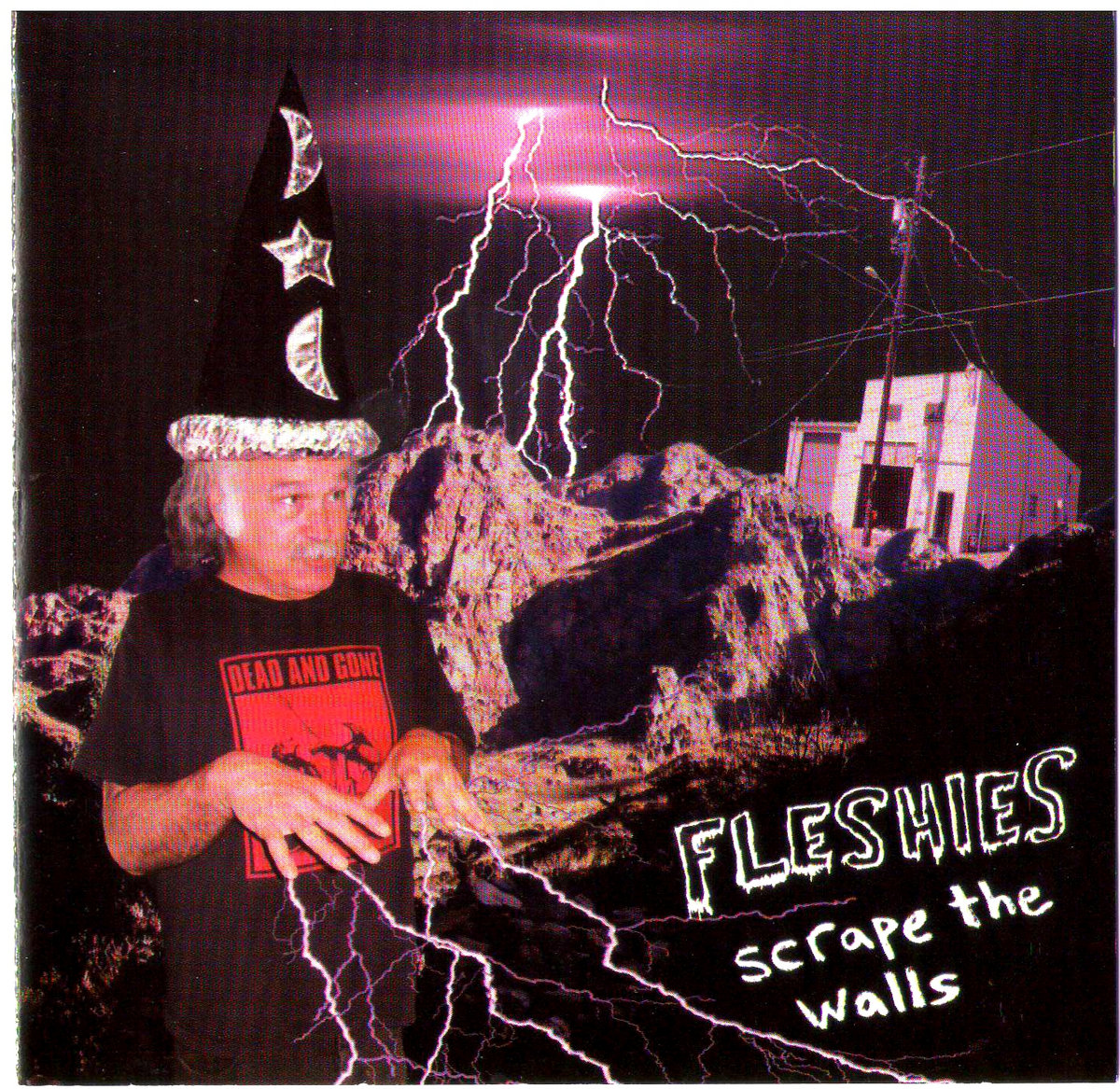 Scrape The Walls Fleshies