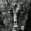 A Swirling Carnival for Every Species (Select Split and Compilation Material)