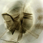 Amplified Presence