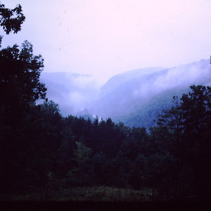 The Traveler (demo) cover