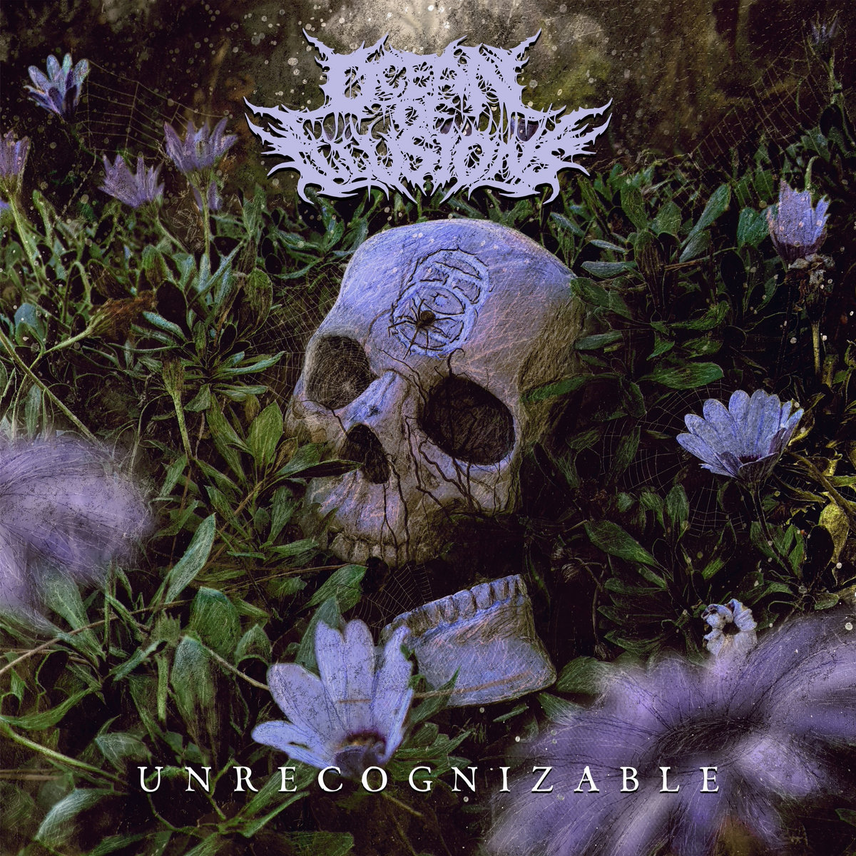 Unrecognizable | Ocean of Illusions