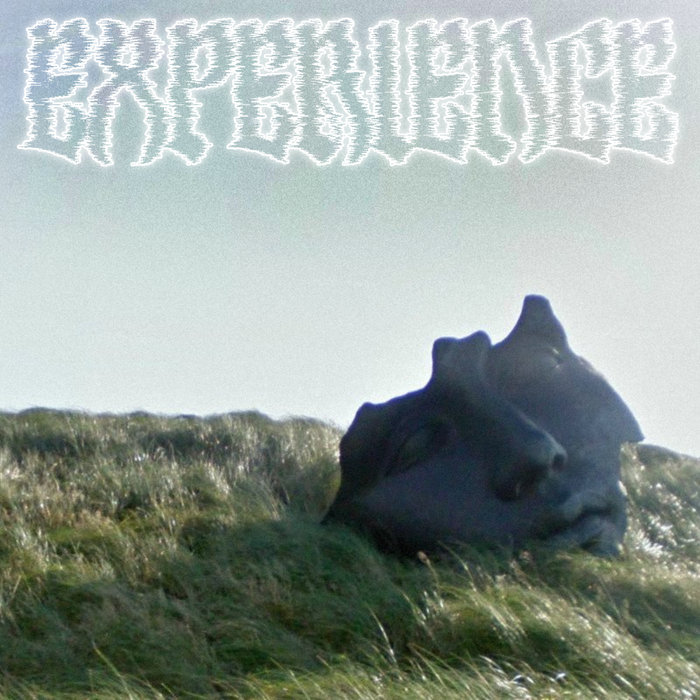 experience | simse