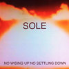 No Wising  Up No Settling Down Cover Art