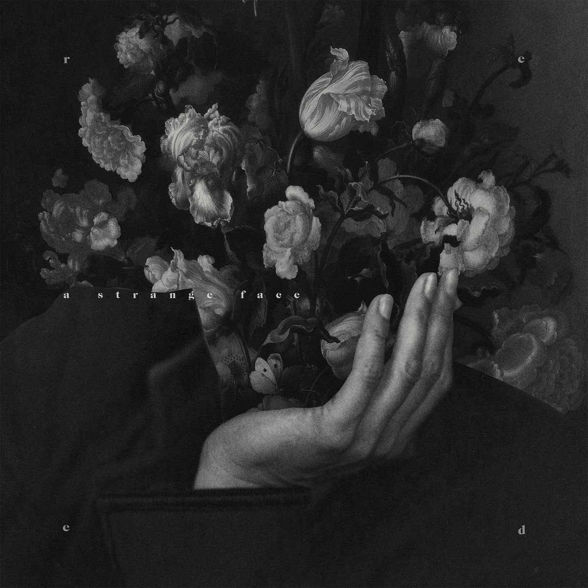 A Strange Face [in bloom] Reed