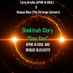 Shekinah Glory-Say Yes (A-N-S Mix)