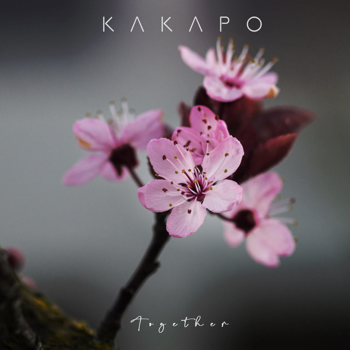Kakapo