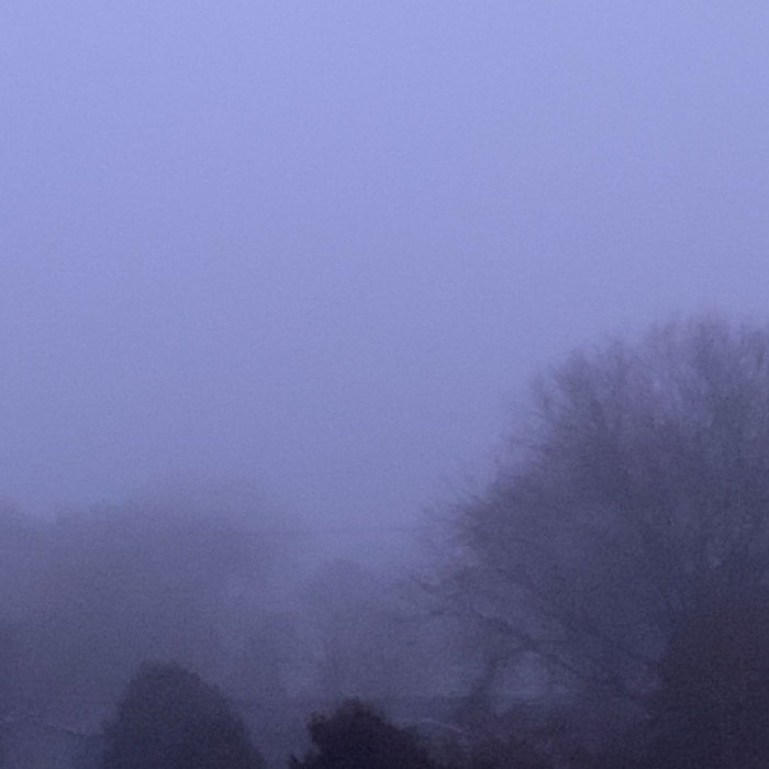 Disconnected | Ambient Shell