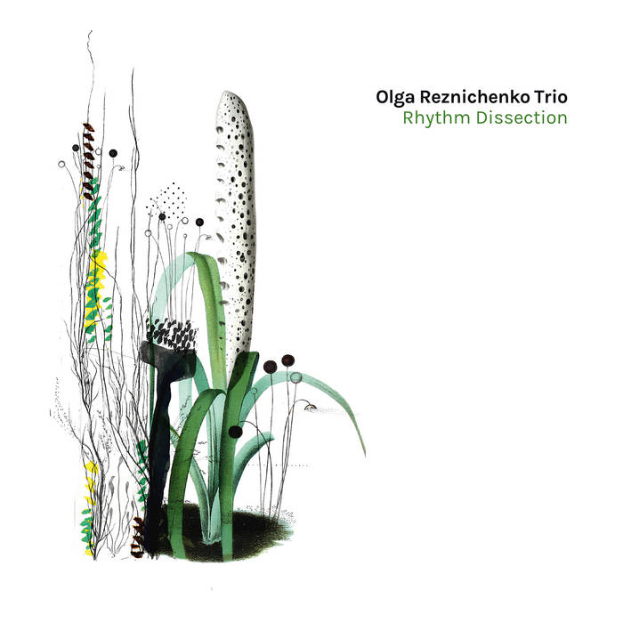 Rhythm Dissection
von Olga Reznichenko Trio