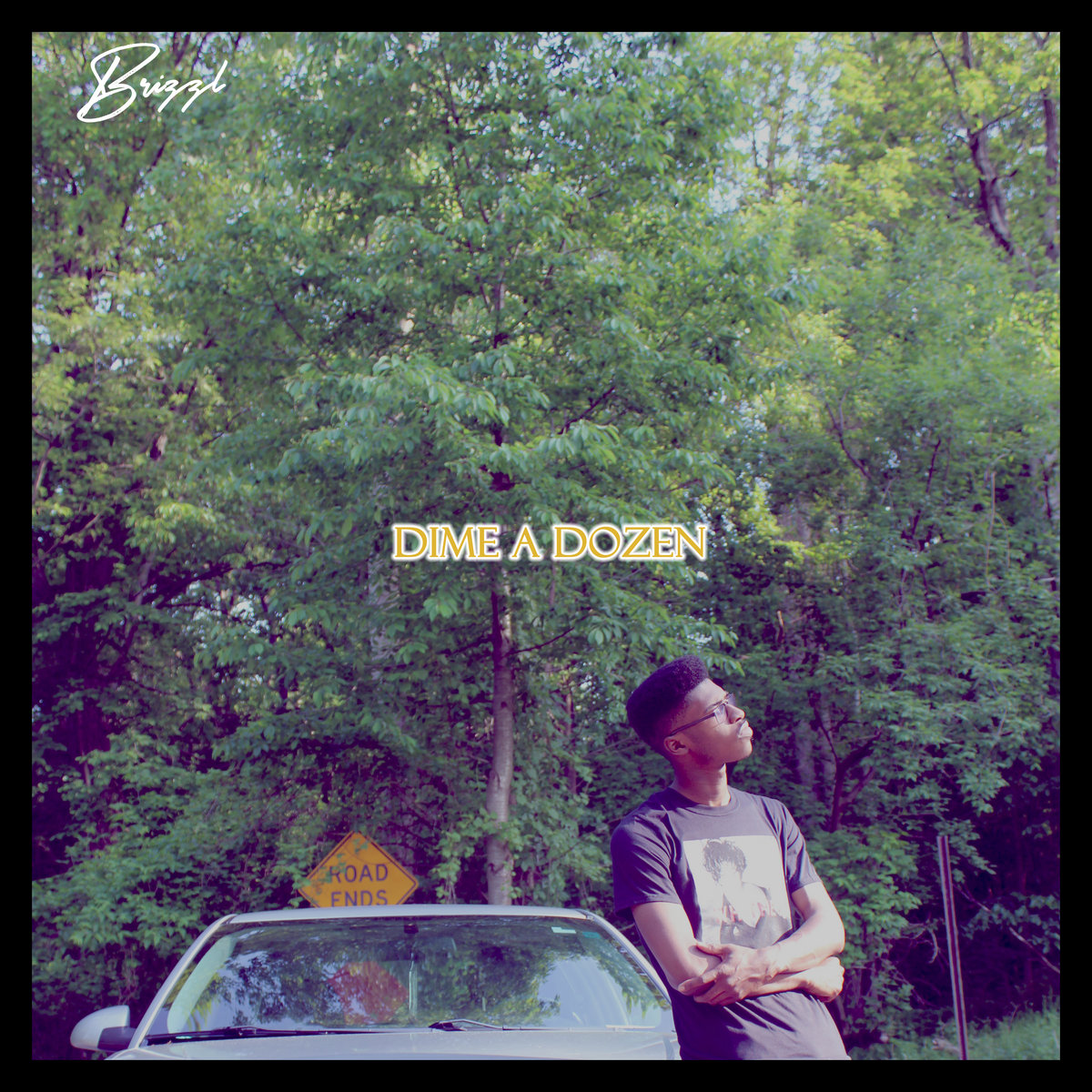 Dime A Dozen | Brizzl