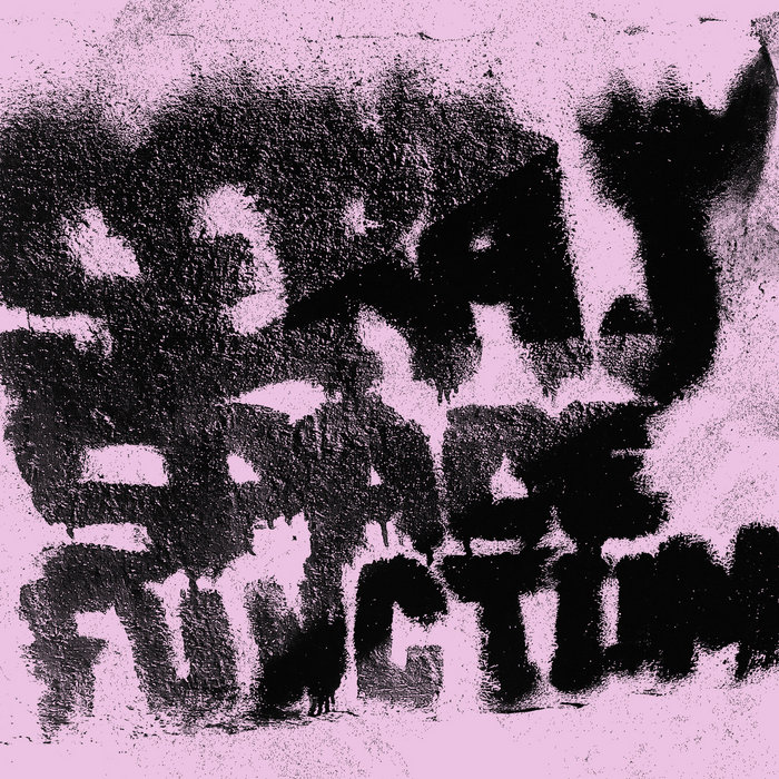 Pochette de Space Function par SERA J