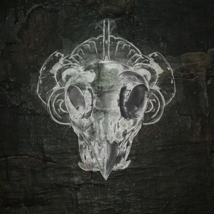 Rainmaker Thriftworks