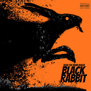 Black Rabbit cover