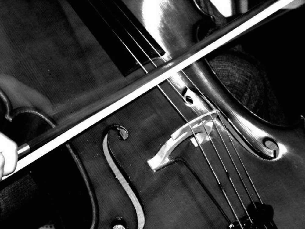 Heirlooms Pale White Moon heirlooms