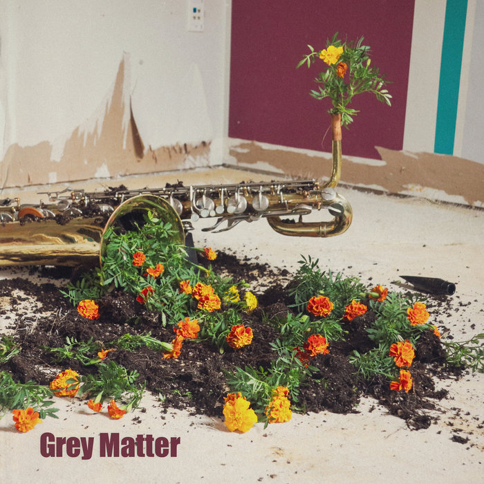 Grey Matter — Photo