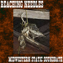 Midwestern Static Needlebath cover art