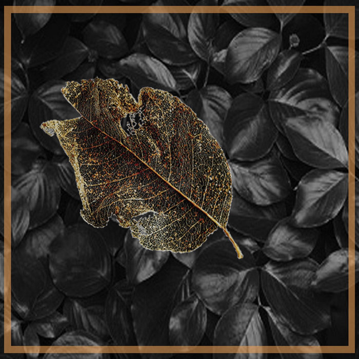 darkling-thrush-change-photo-please-r-ms